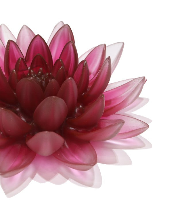 Crystal Lotus